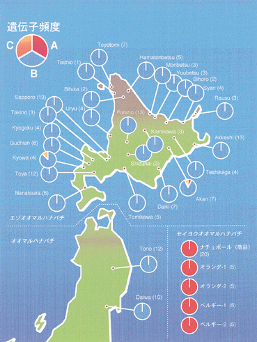 国内の図