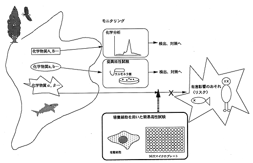 試験法の図