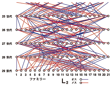 世代ごとの図