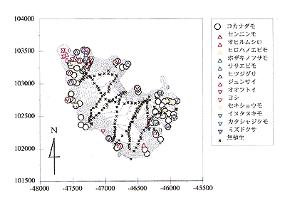 植生分布の図