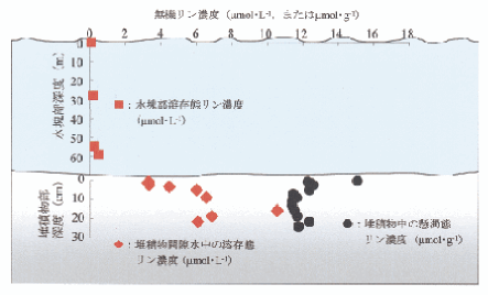 リンの濃度分布の図