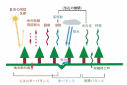概念図