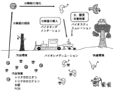 バイオレメディエーションの図