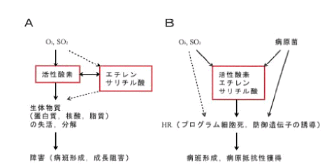 図2