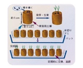 育成方法の図