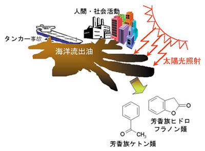 生成の図