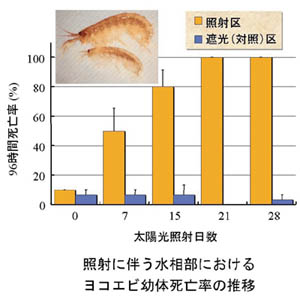 推移のグラフ