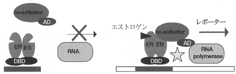 試験の模式図