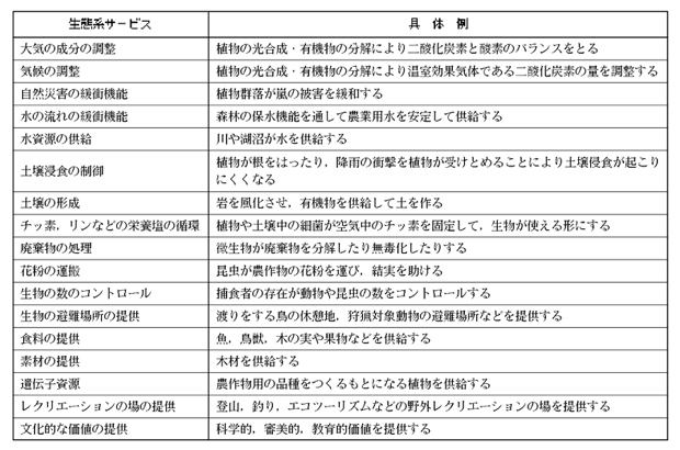 具体例の表