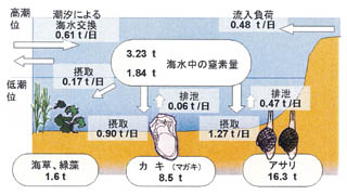 水質浄化の図