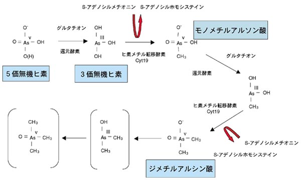 図解