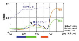 観測データのグラフ