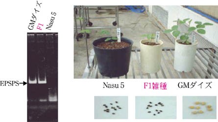 検出結果と対象の写真