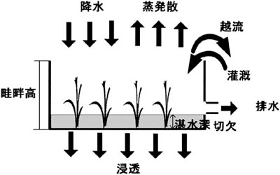 モデルの図