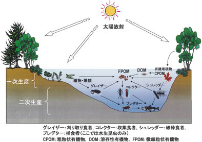 相互作用の図