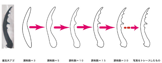 フーリエ解析結果の図