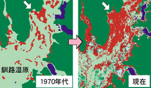 1970年代と現在の比較の図