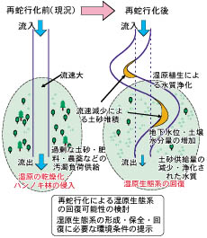 湿原生態系の変化予測の図