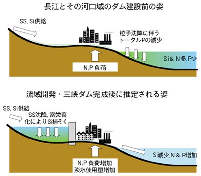 将来シナリオの図