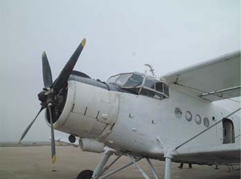 飛行機の写真