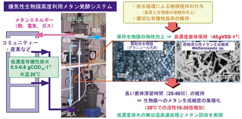 システムの概要図