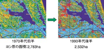 1970年代前半と1990年代後半の霞ケ浦の図