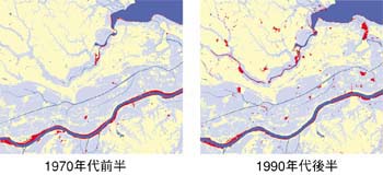 1970年代前半と1990年代後半の霞ケ浦周辺のヨシ原変化の図