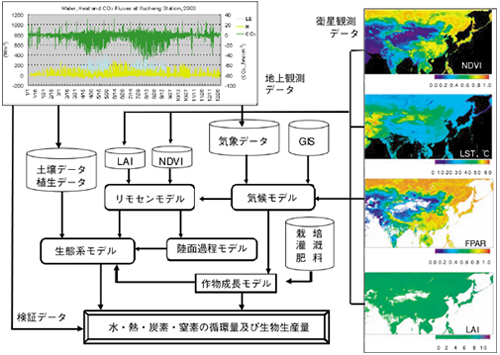 研究の概念図