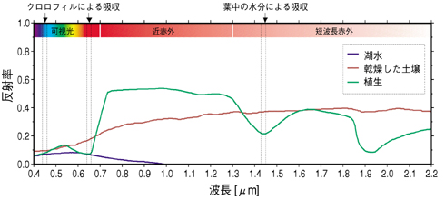 分光反射率のグラフ