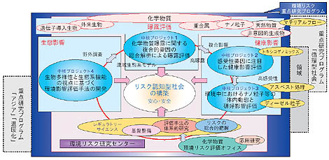 研究プログラムの全体構成図（クリックで拡大表示）