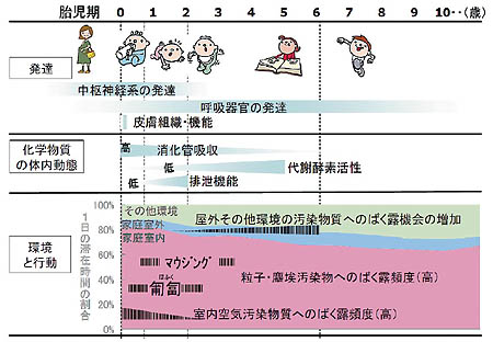 図　子どもの化学物質に対する脆弱性の要因（発達と化学物質曝露のタイミング）