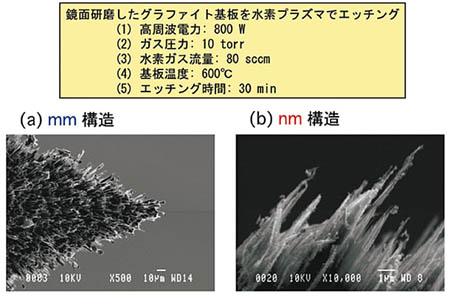 顕微鏡写真と条件の説明