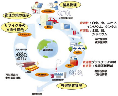 図１　本中核研究プロジェクトのイメージ