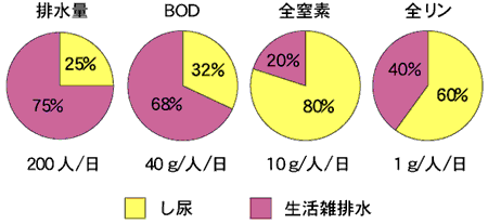 図３　生活排水の一人あたりの汚濁量から見たし尿と生活雑排水の比率