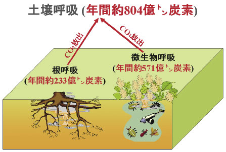 概念図