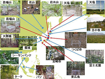 観測網の図