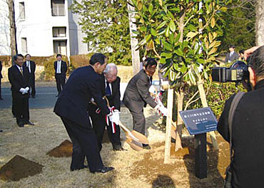 植樹の写真