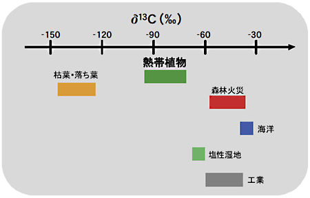 図　各発生源を起源とする塩化メチルの炭素安定同位体比の特徴（熱帯植物以外の発生源については文献から引用した）