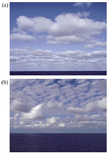 写真３　西太平洋で見られた整然と並ぶ雲群　a：北緯30度（研究船「みらい」にて撮影），b：南緯20度（貨物船「トランスフューチャー５(注)」にて撮影）(注)トヨフジ海運株式会社様，鹿児島船舶株式会社様のご厚意により，定期貨物船にて観測が行われています。