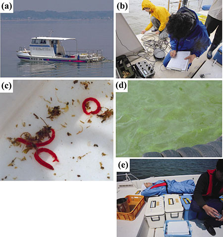 写真１　霞ヶ浦全域調査　　(a)調査船、(b)センサーで測定、(c)ユスリカ見つけた、(d)アオコ出現、(e)船が故障した時はお昼寝
