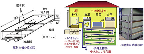 図2 アジア地域に適用可能な分散型排水処理システム