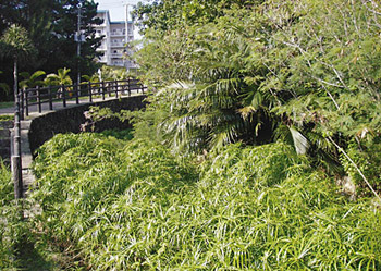 写真3