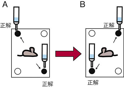 図２