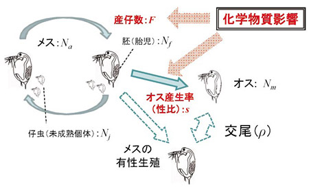 図２