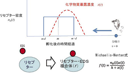 図３（クリックすると拡大表示されます）