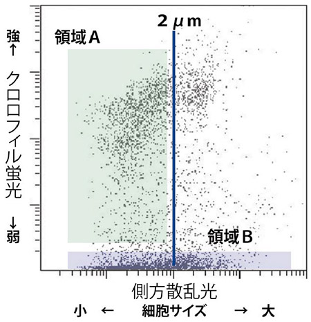 図２