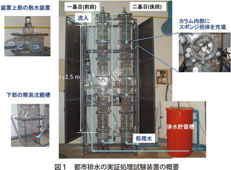 図１　都市排水の実証処理試験装置の概要（クリックすると拡大表示されます）