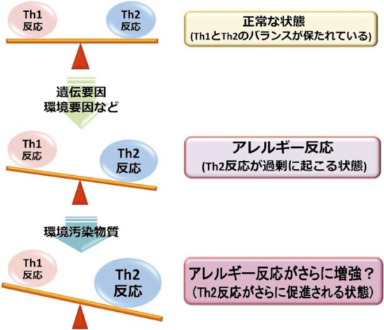 図２