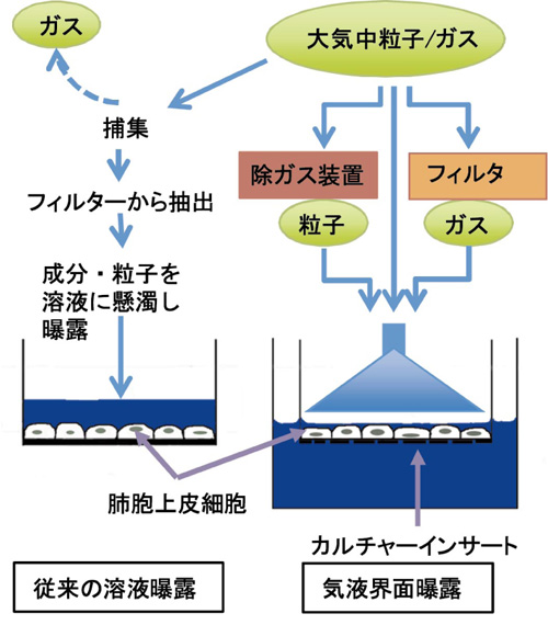 図１