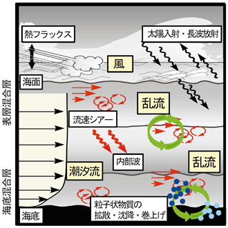 概念図（クリックで拡大表示）